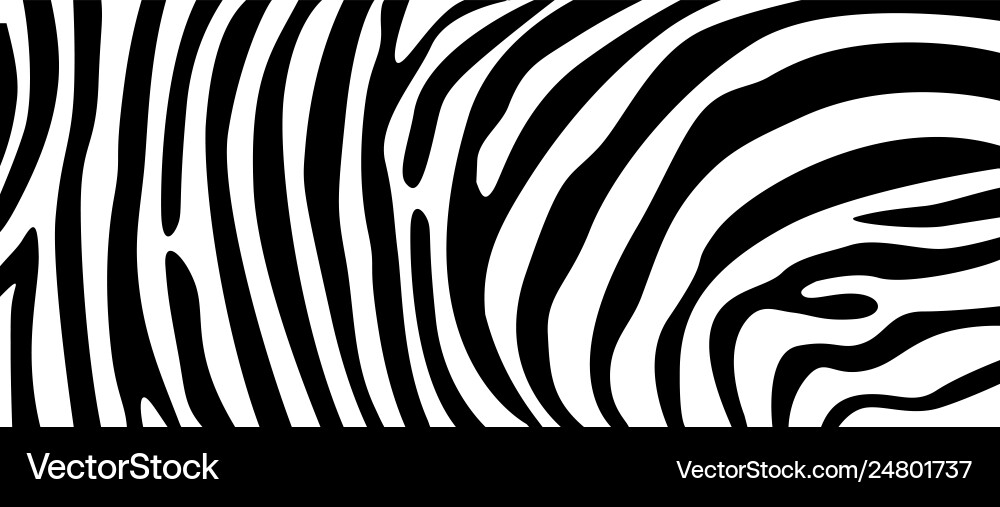 Zebra pattern texture repeating simple Zebra pattern texture repeating simple vector image
