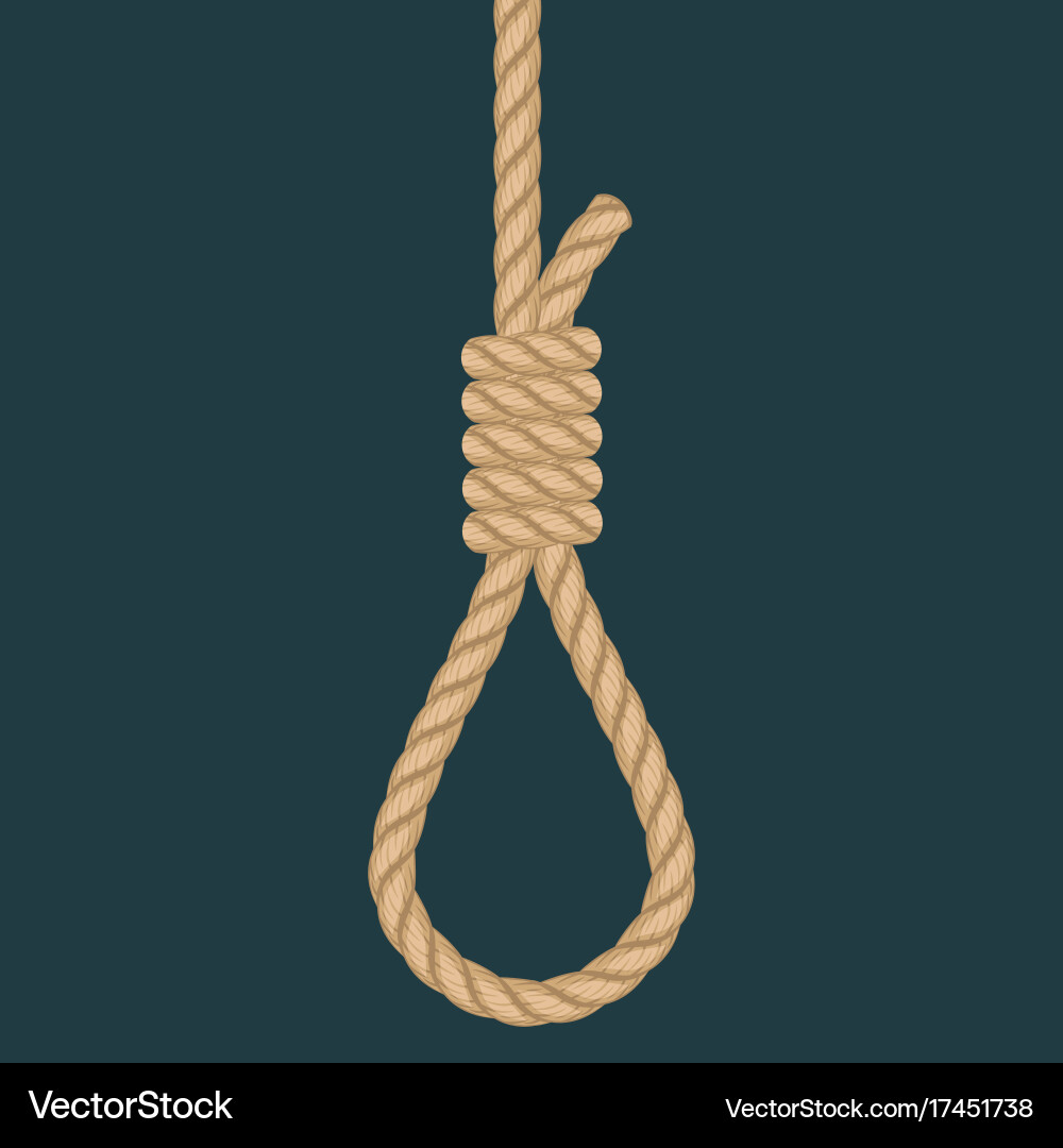 Rope hanging loop noose with hangmans knot Vector Image