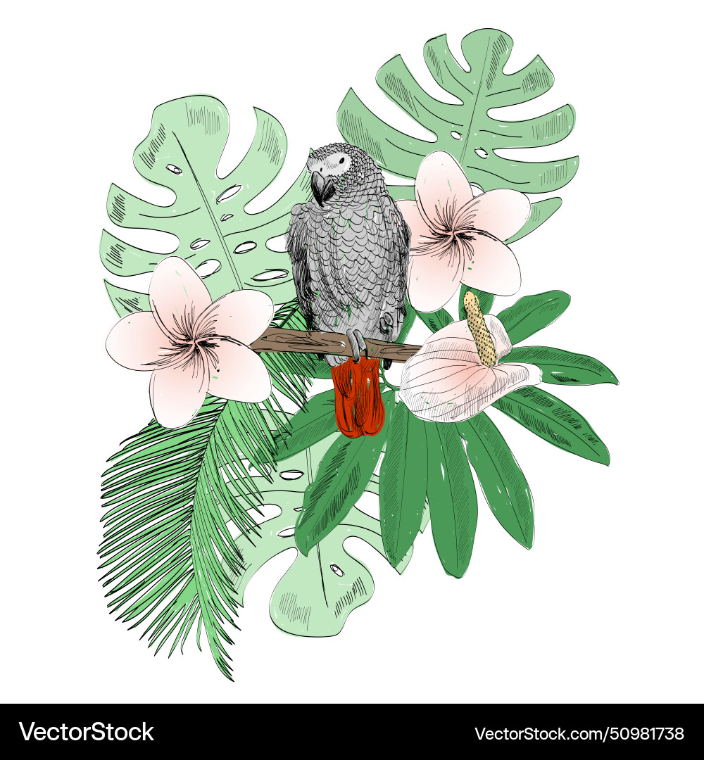 Tropical Royalty Free Vector Image - VectorStock