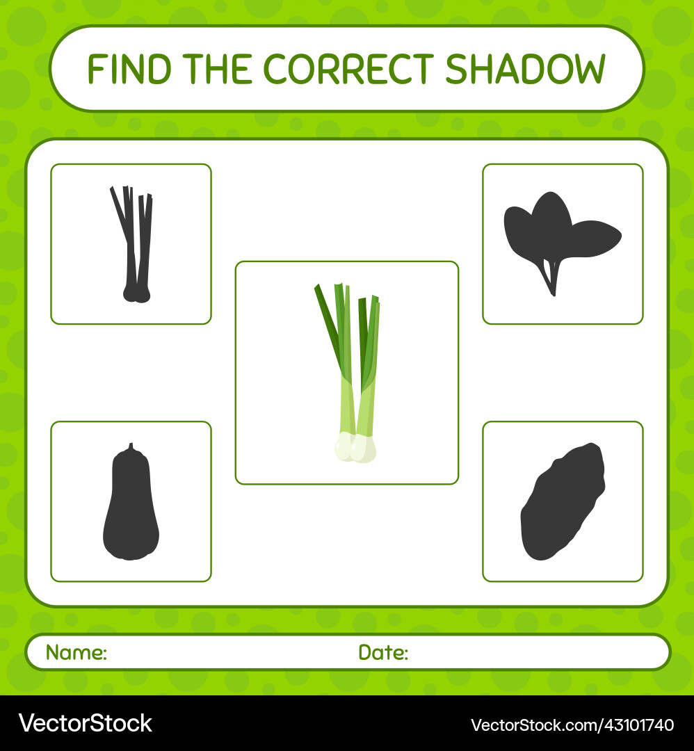 Find the correct shadows game with spring onion Find the correct shadows game with spring onion Vector Image
