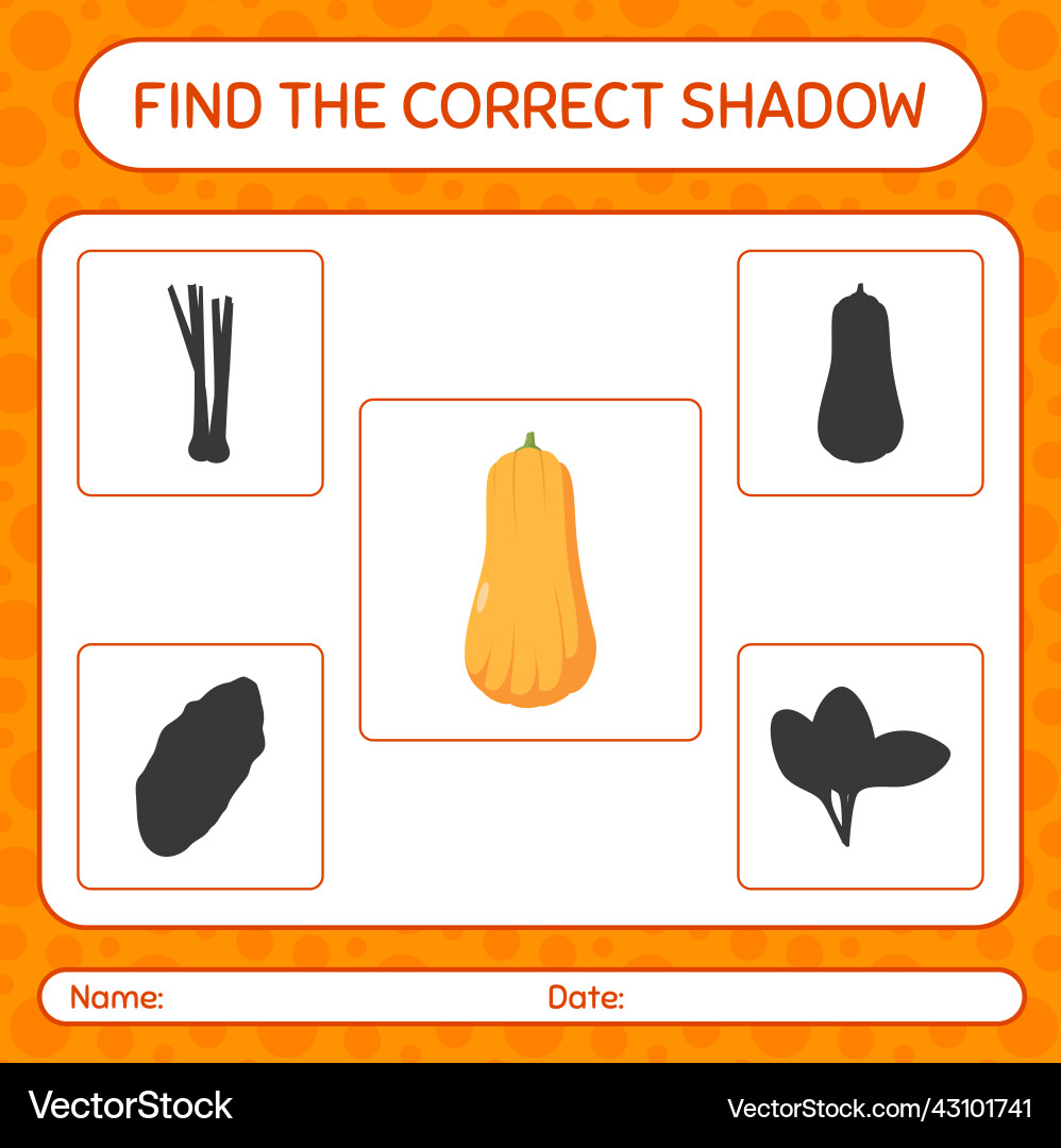 Find the correct shadows game with squash Find the correct shadows game with squash vector image