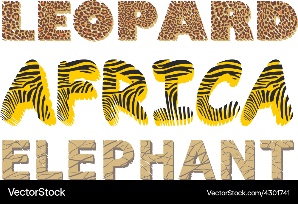 Leopard zebra and elephant texture in the text vector image