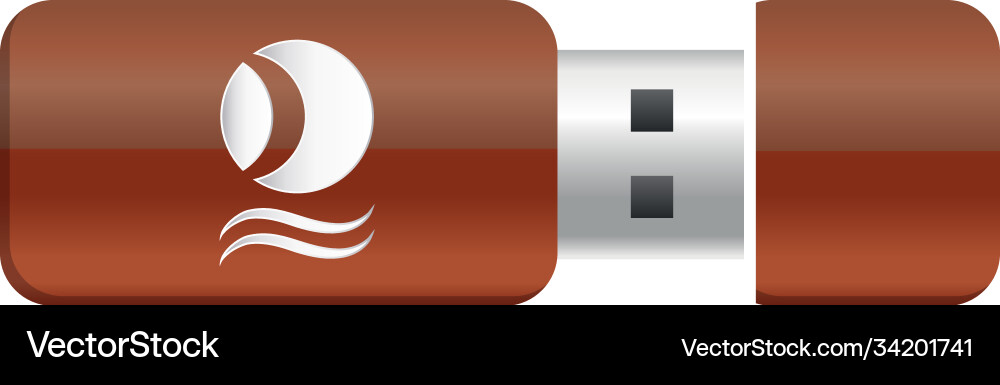 Usb memory flash branding icon Vector Image