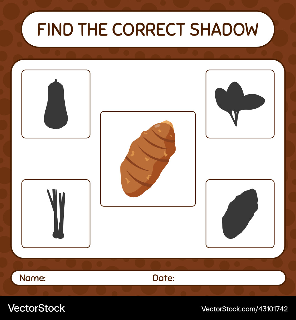 Find the correct shadows game with taro root Find the correct shadows game with taro root vector image
