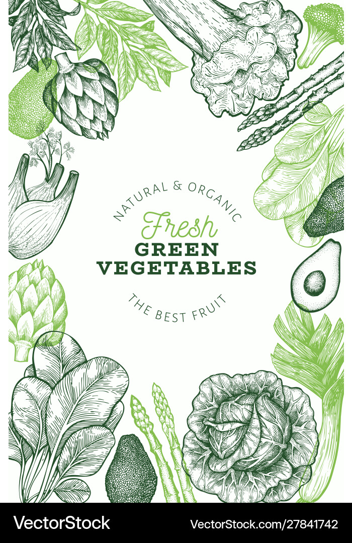 Green vegetables design template hand drawn food vector image