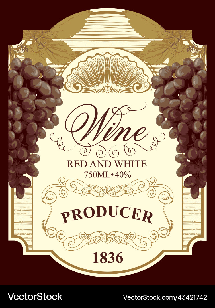 Wine label in retro style with bunches of grape Wine label in retro style with bunches of grape Vector Image