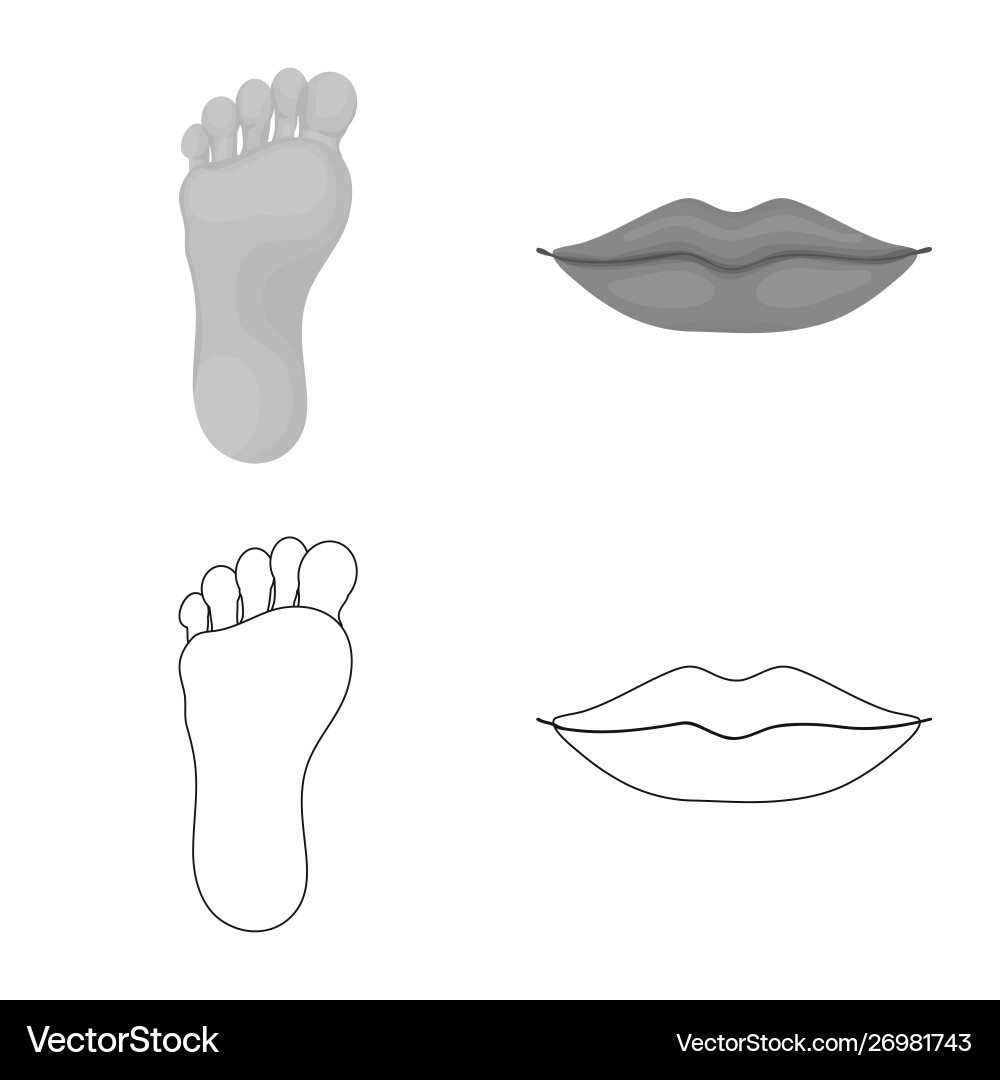 Isolated object body and part sign set vector image