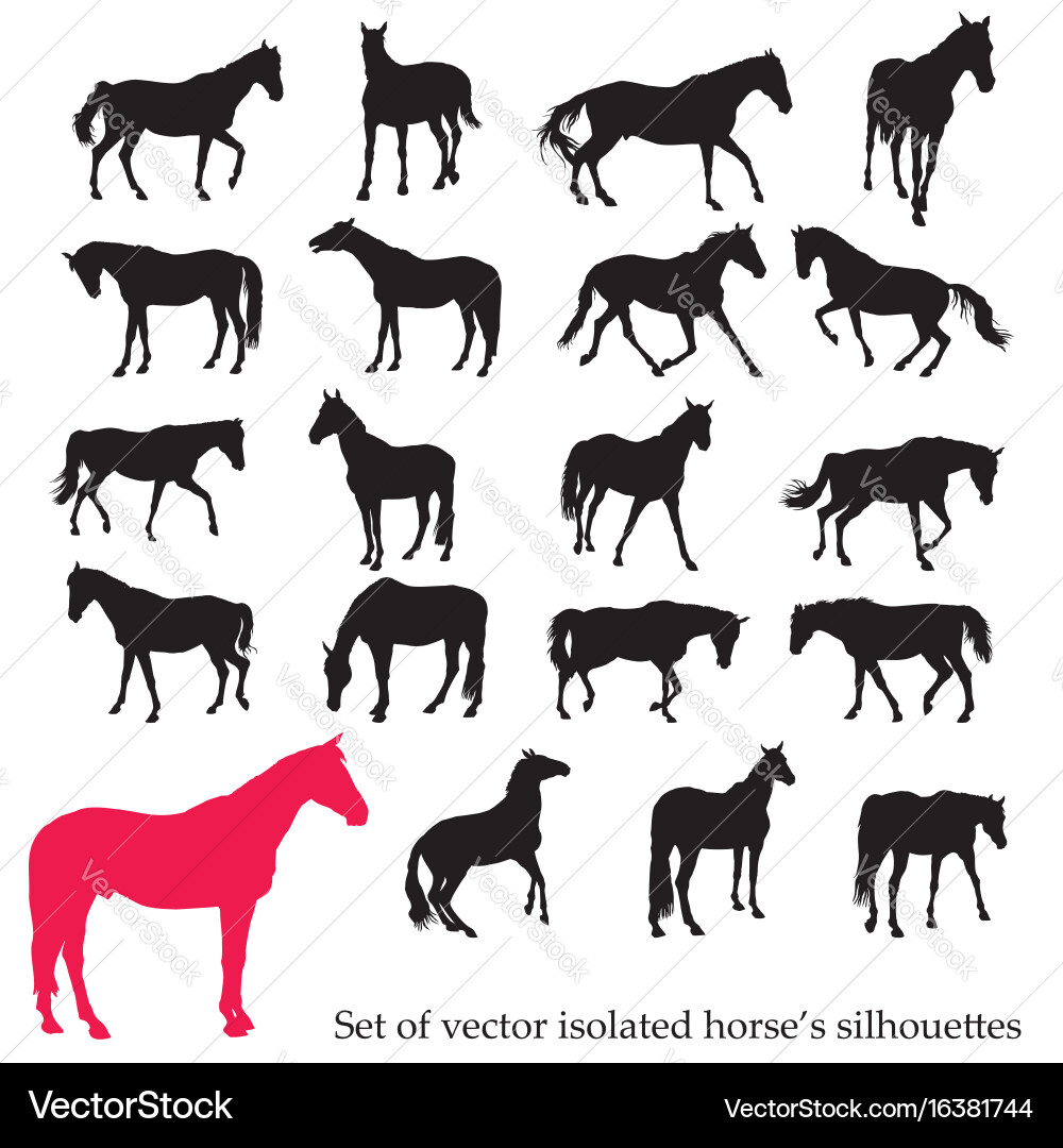 Horse Silhouettes - Collection Vector Image