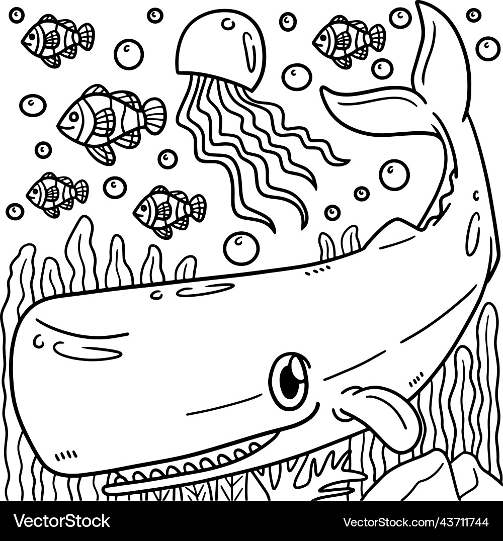 Sperm whale coloring page for kids Sperm whale coloring page for kids vector image