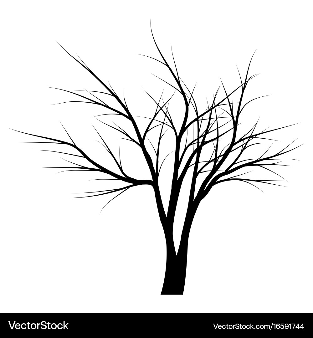 Trees with dead branches Vector Image