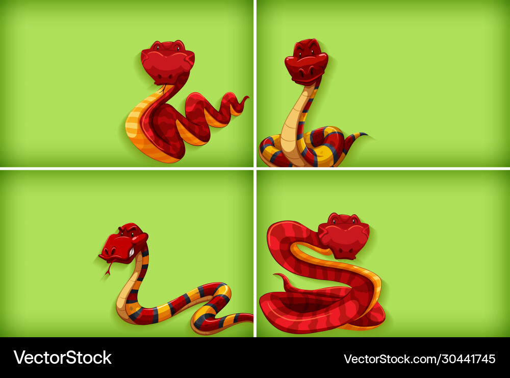 Background template with plain color and red snake Background template with plain color and red snake vector image