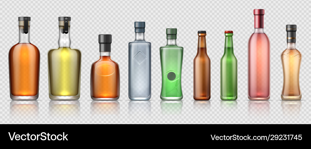 Realistic Alcohol Bottles Collection Vector Image