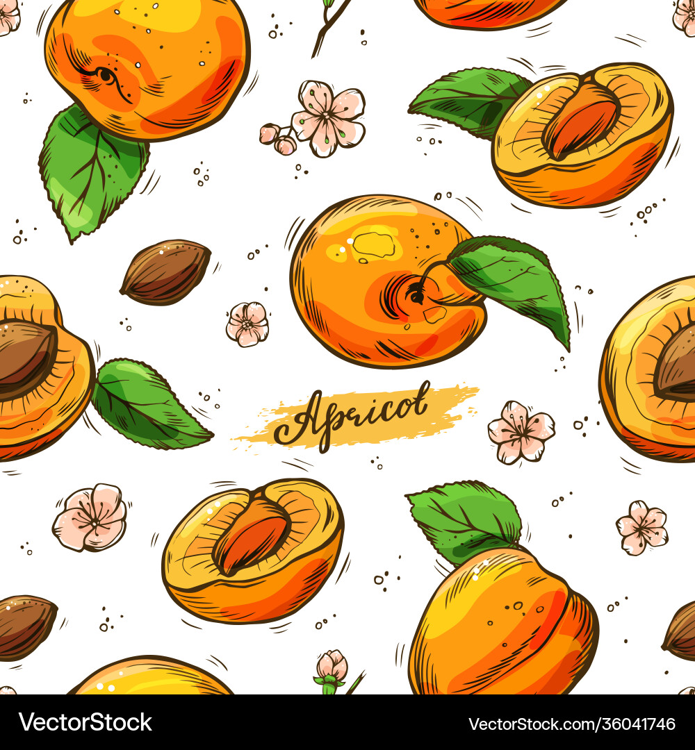 Apricots colorful seamless pattern hand-drawn Apricots colorful seamless pattern hand-drawn vector image