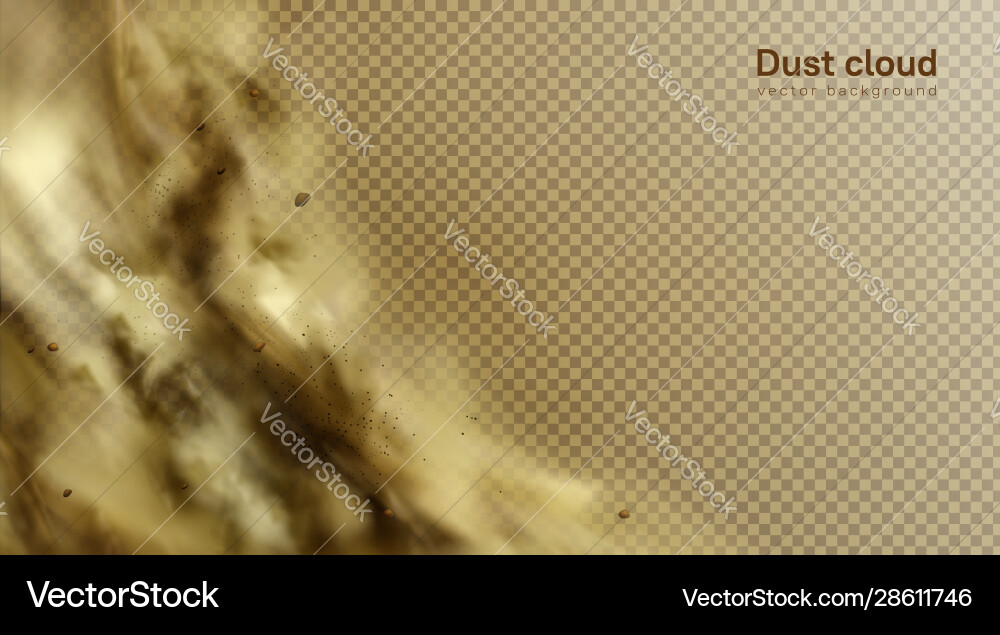 Desert sandstorm brown dusty cloud on transparent Desert sandstorm brown dusty cloud on transparent vector image