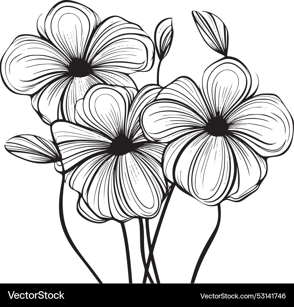 Flower Royalty Free Vector Image - VectorStock