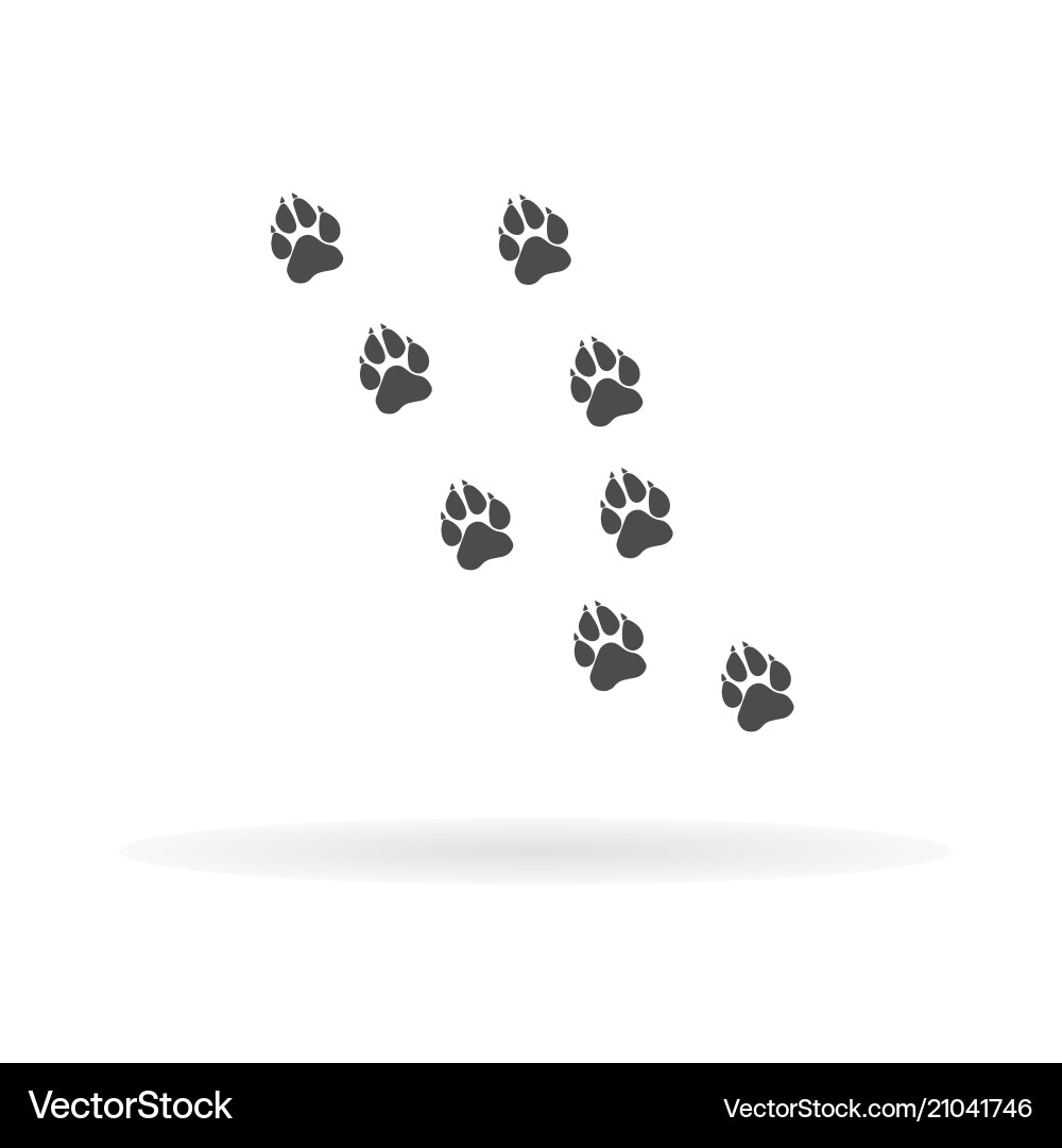 Paw prints pattern Paw prints pattern vector image