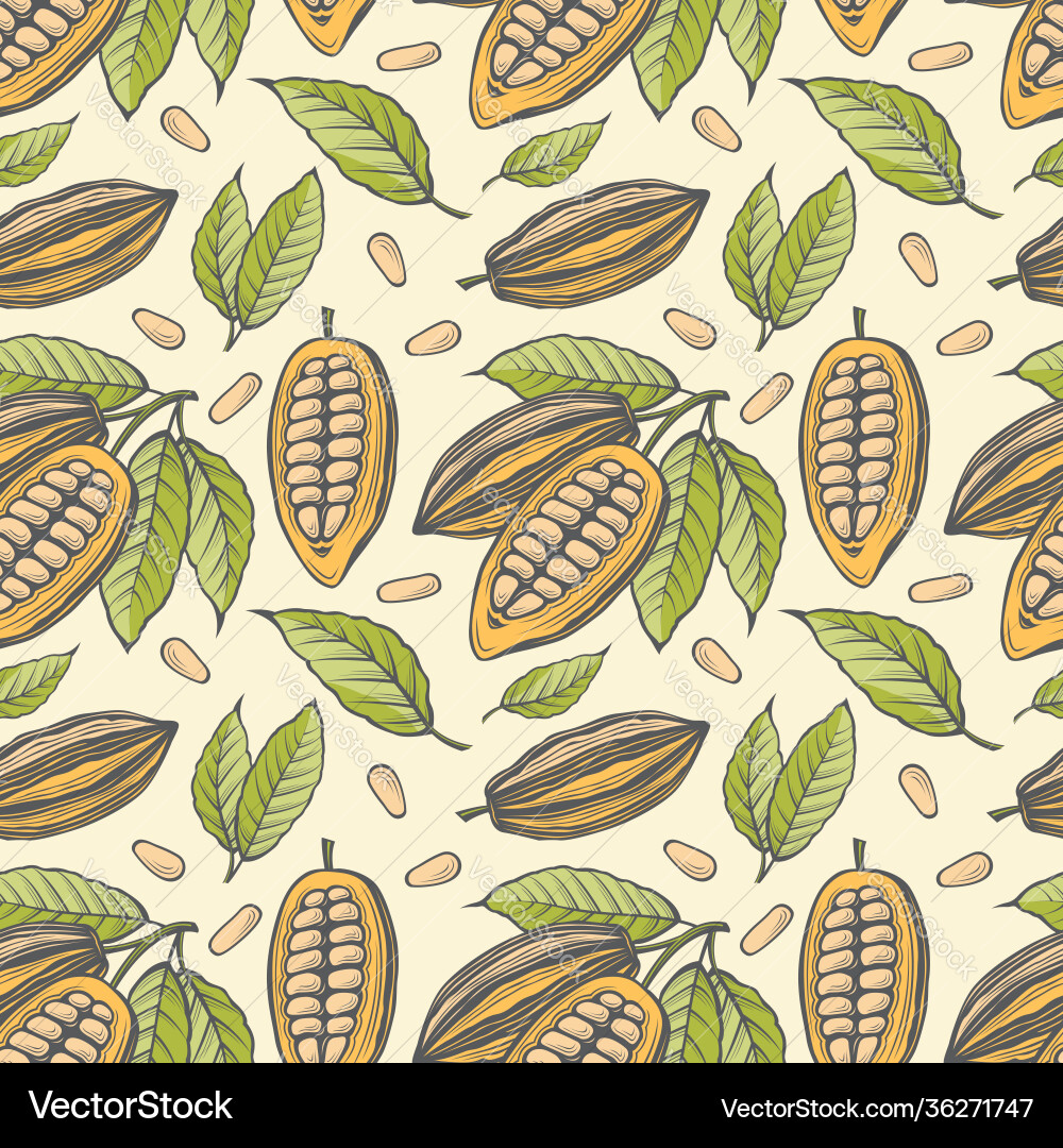 Cocoa Bean Seamless Pattern vector image