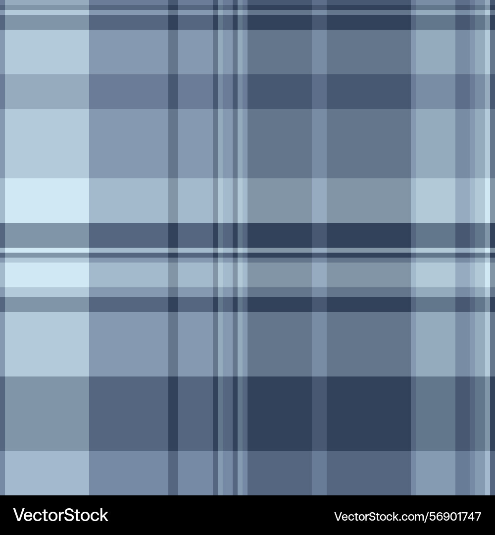 Difficult fabric check texture intricate pattern Vector Image