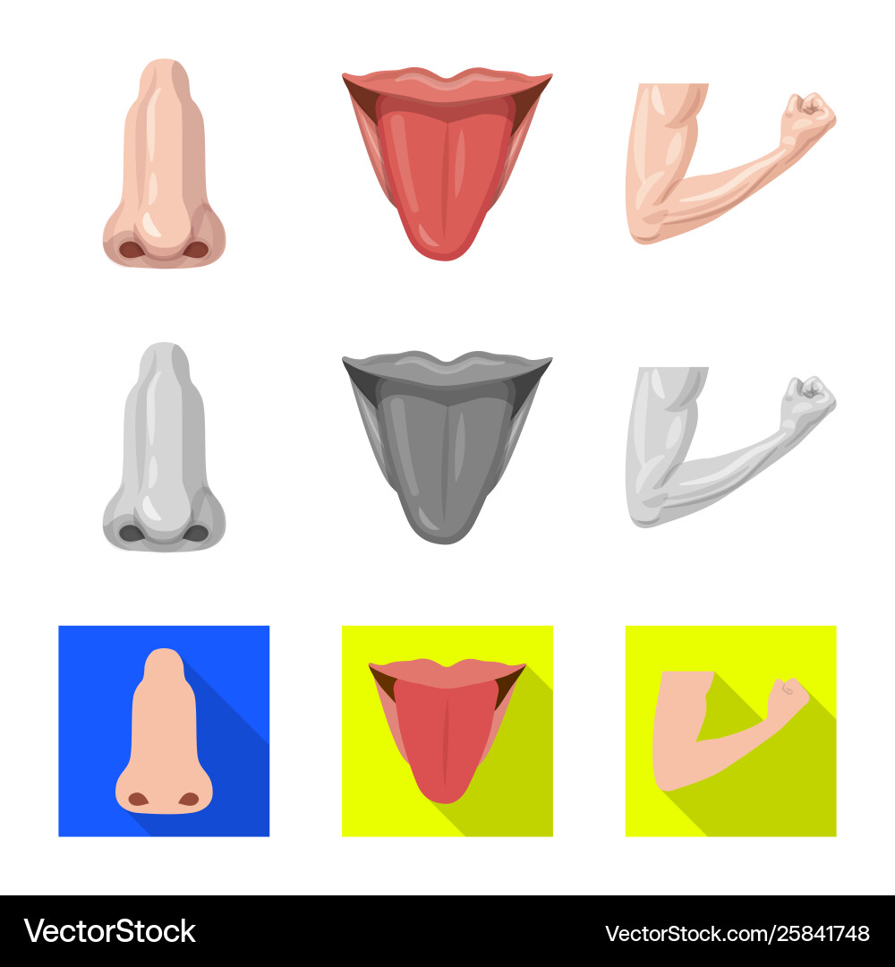 Isolated object human and part symbol Vector Image