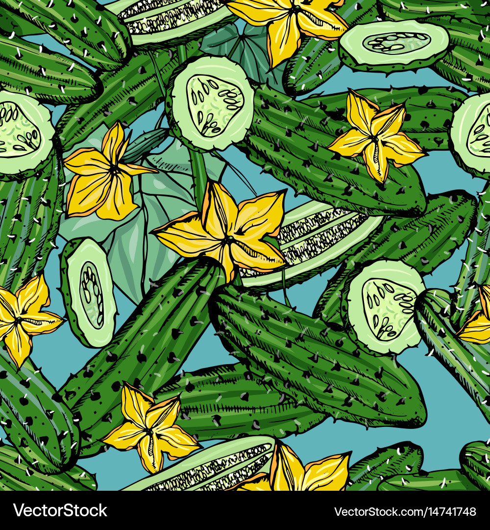Seamless pattern with cucumber slice flower vector image