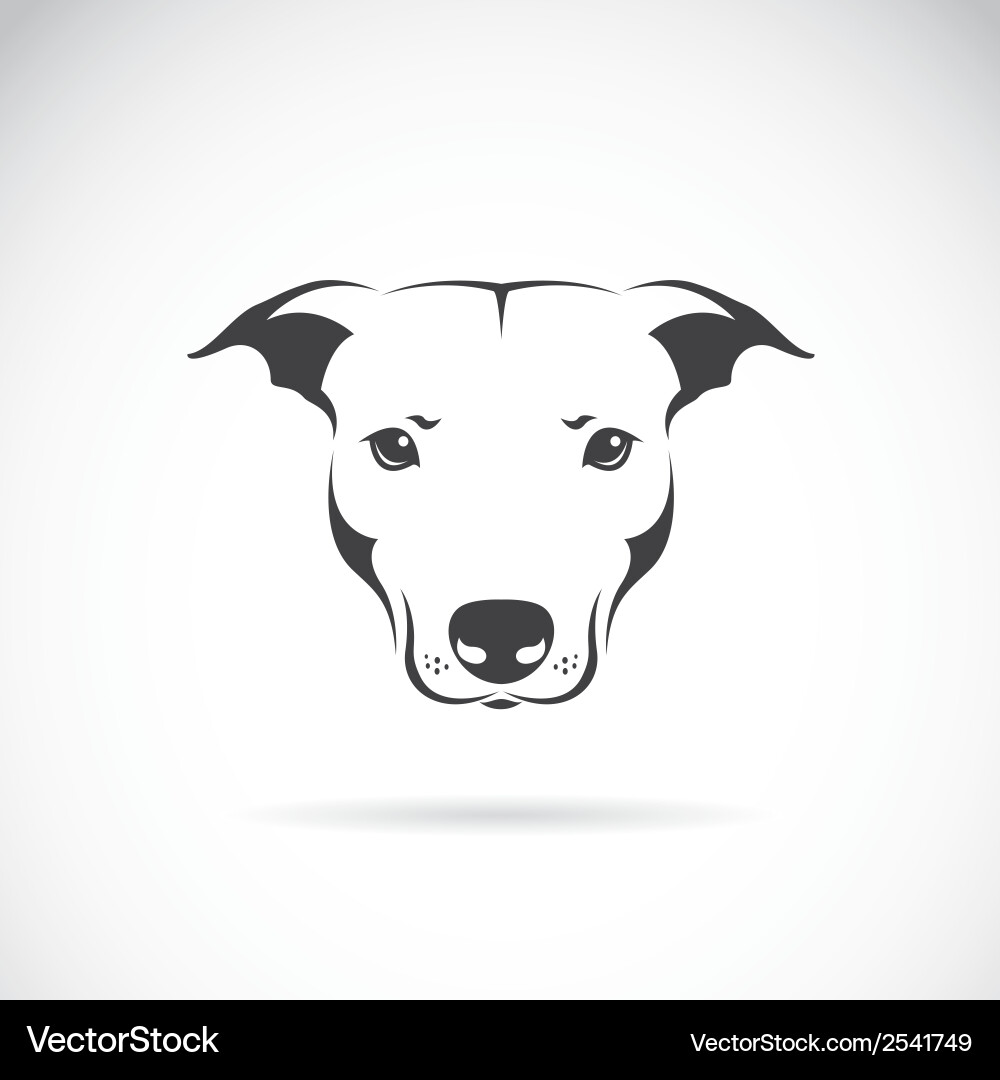 Dog Head Icon Collection Vector Image
