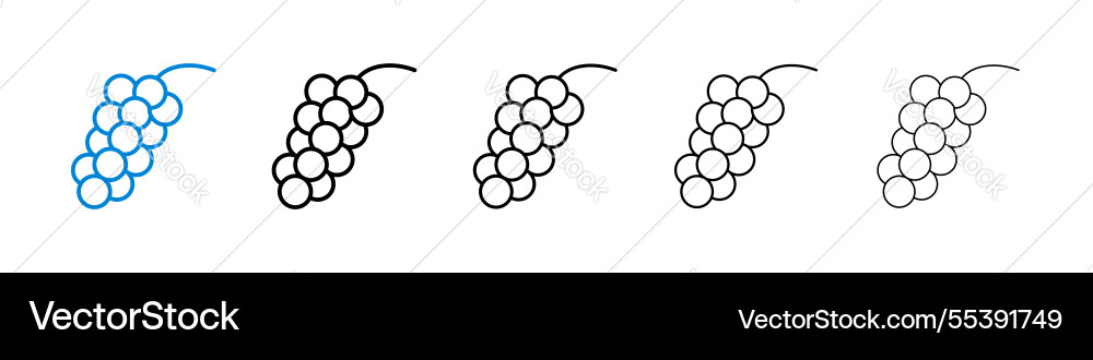 Grape icons in five different stroke sizes Grape icons in five different stroke sizes vector image