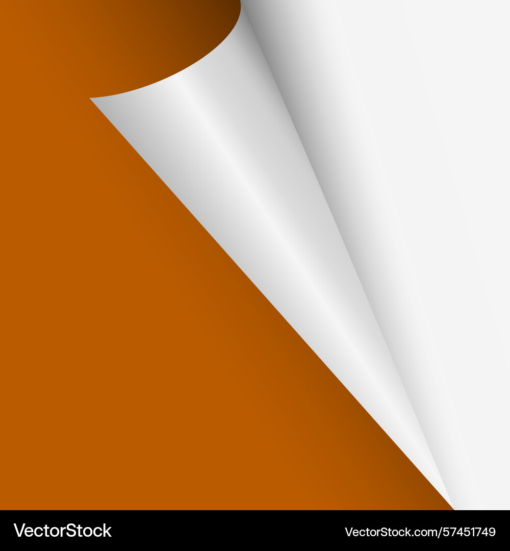 Page curl curled color paper blank sheet Vector Image