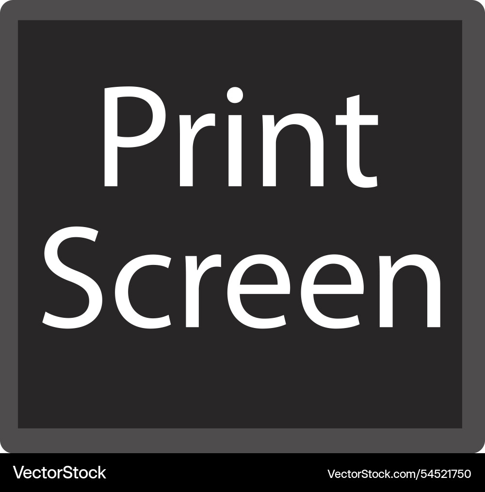 Print screen computer key button on white vector image