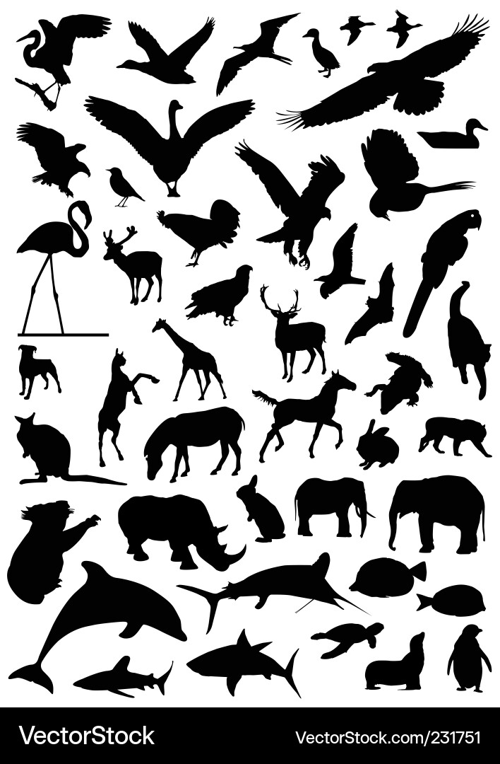 Animal Silhouettes Collection vector image