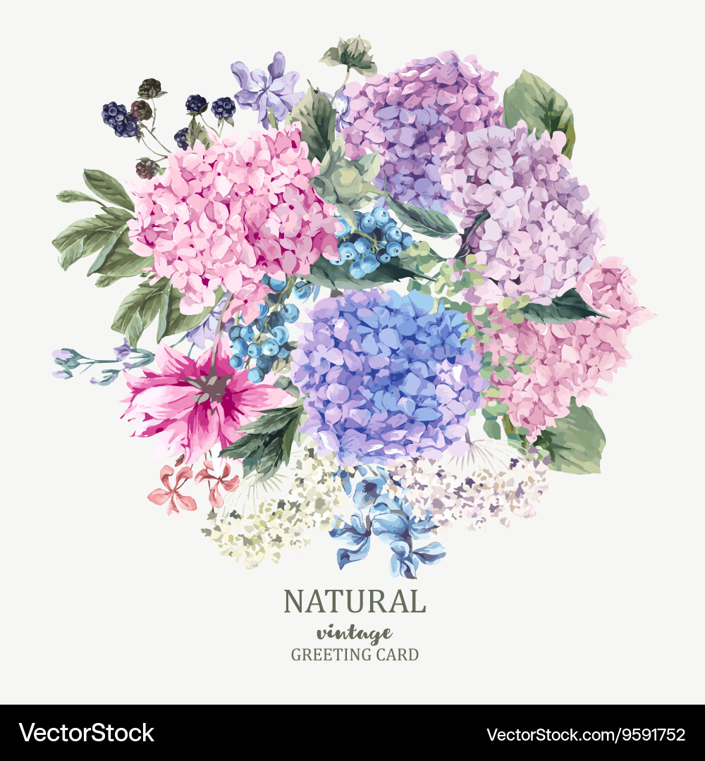 Hydrangea Ombre | Greeting Card Hydrangea Ombre | Greeting Card