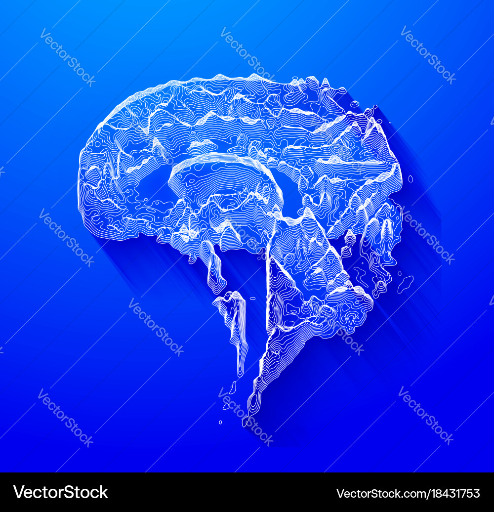 Brain in the form of a topographic map vector image