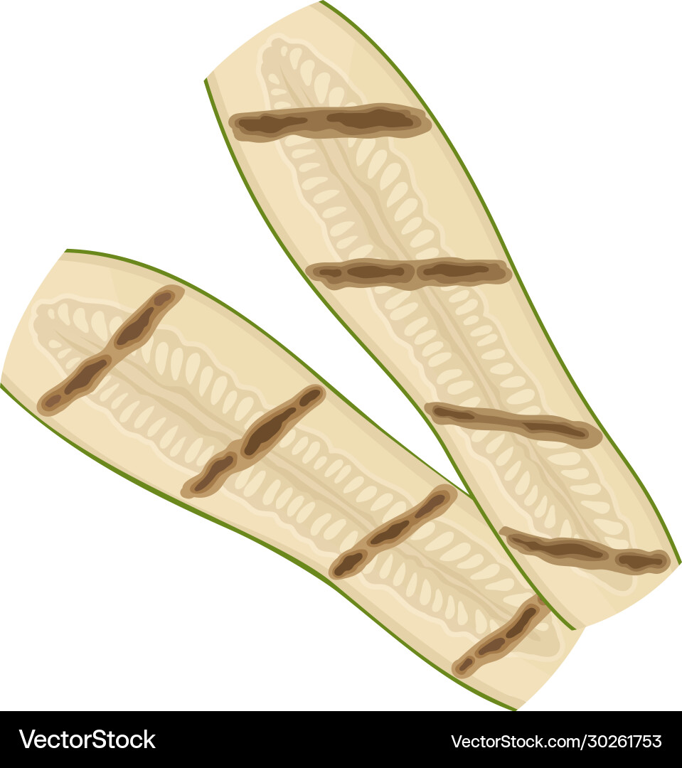 Grilled sliced cucumber with strips isolated Grilled sliced cucumber with strips isolated Vector Image