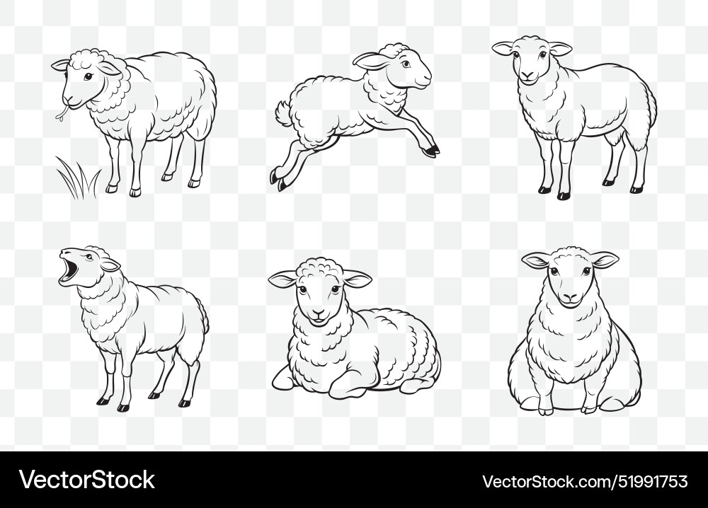 Print sheep line art set Vector Image