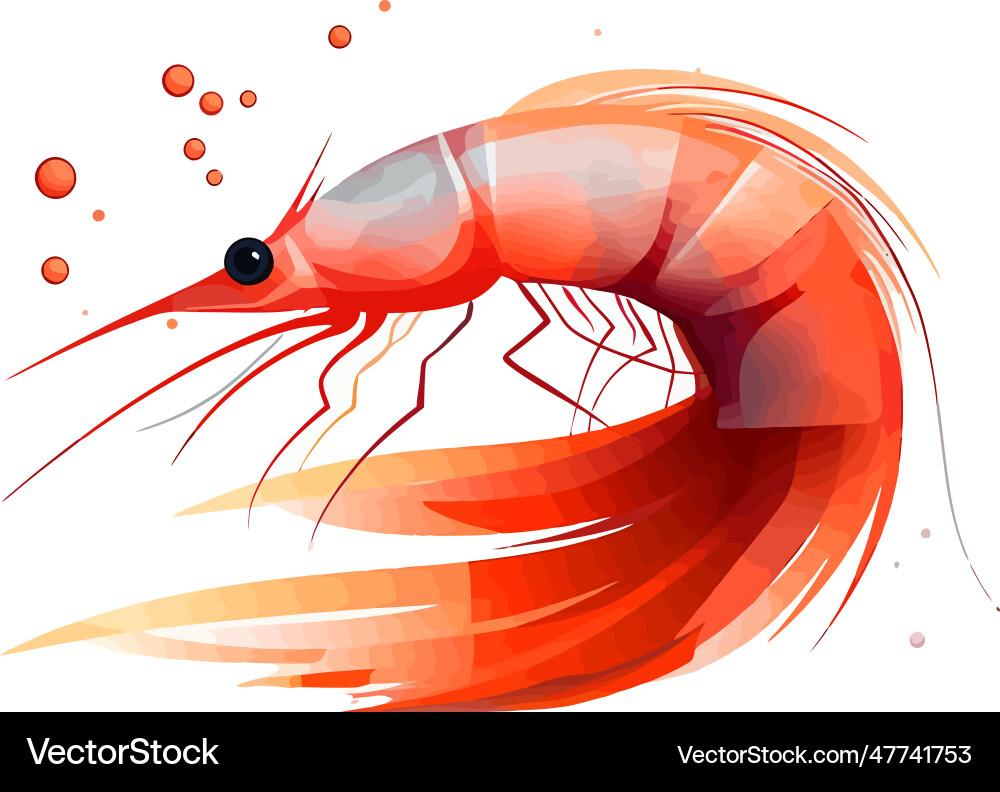 Shrimp Cocktail Zeichnung auf einem weißen Hintergrund Shrimp Cocktail Zeichnung auf einem weißen Hintergrund Vektorbild