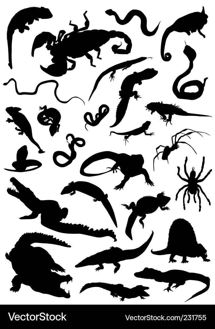 Reptile Silhouettes - Animal Set Vector Image