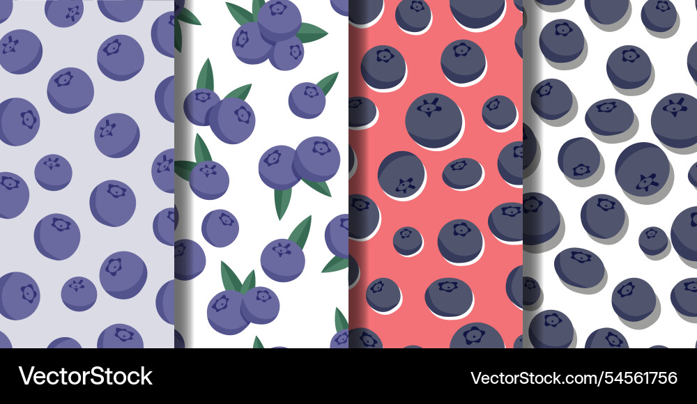 Set of seamless patterns with blueberries Set of seamless patterns with blueberries vector image
