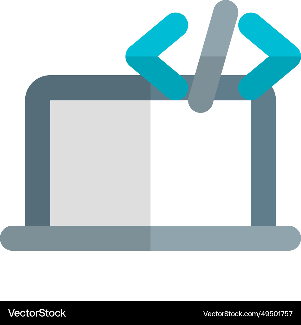 Editing or executing programming in laptop vector image
