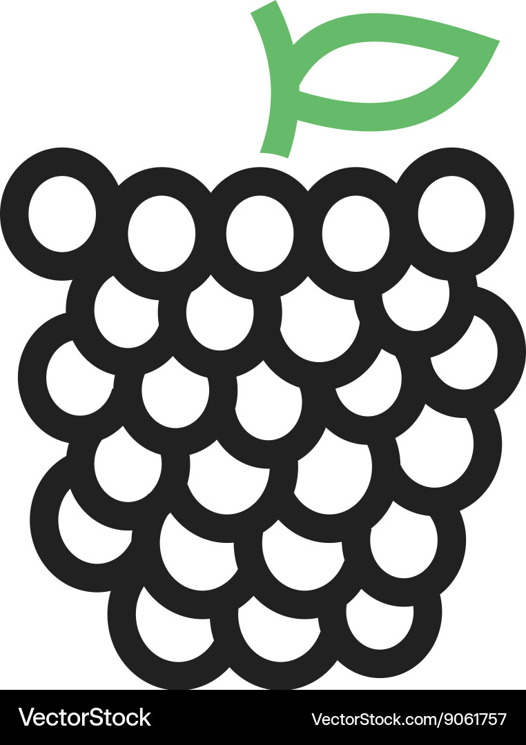 Raspberry vector image