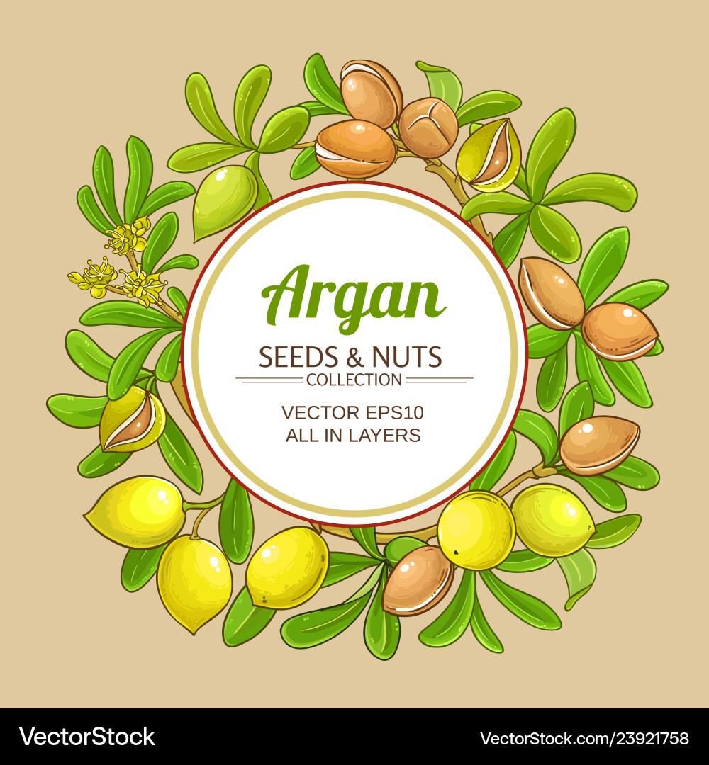 Argan branches frame on color background Argan branches frame on color background vector image