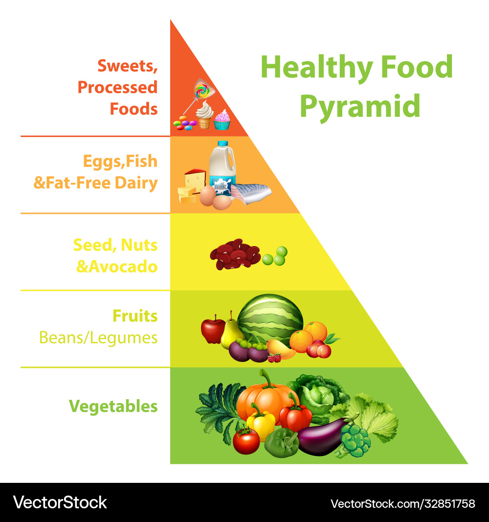 Healthy food pyramid chart Royalty Free Vector Image healthy-food-pyramid-chart-royalty-free-vector-image