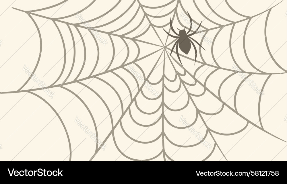 Spooky Spiderweb with Multiple Spiders Vector Image