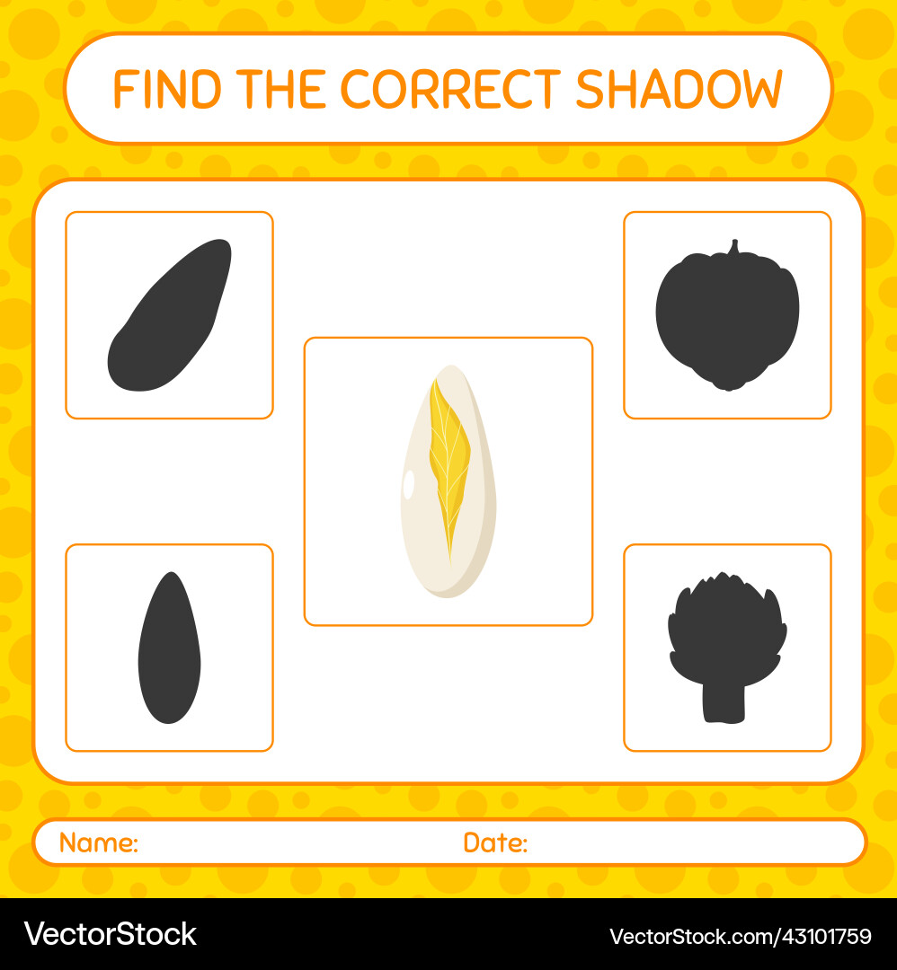 Find the correct shadows game with witloof vector image