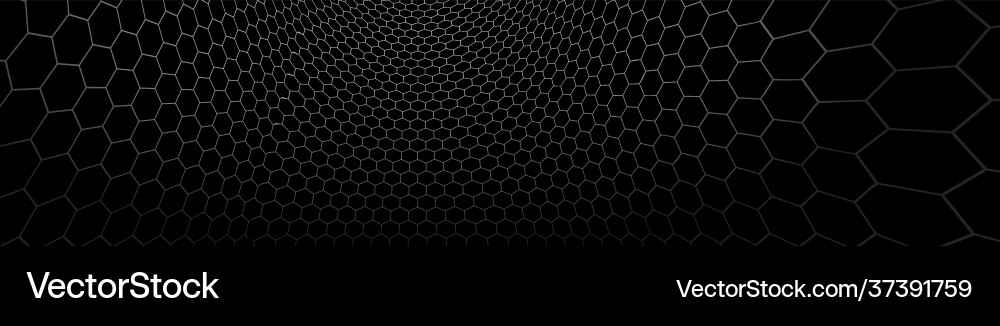 Technology and science background tech Technology and science background tech vector image