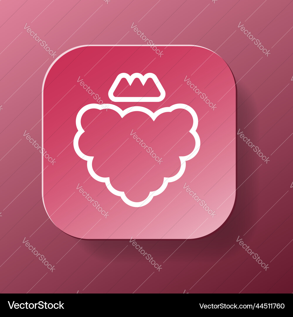 Raspberry fruit square button icon white outline vector image