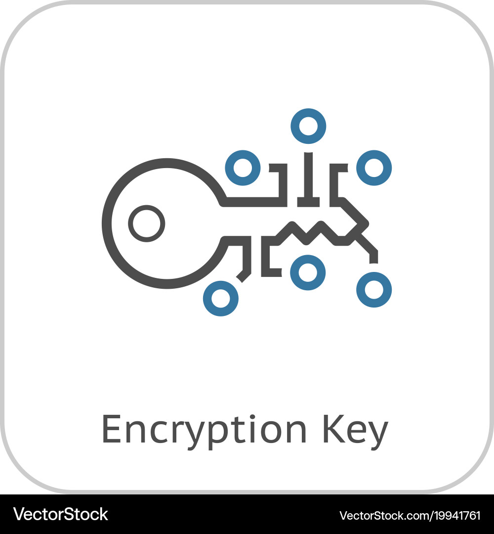 Encryption key icon Vector Image