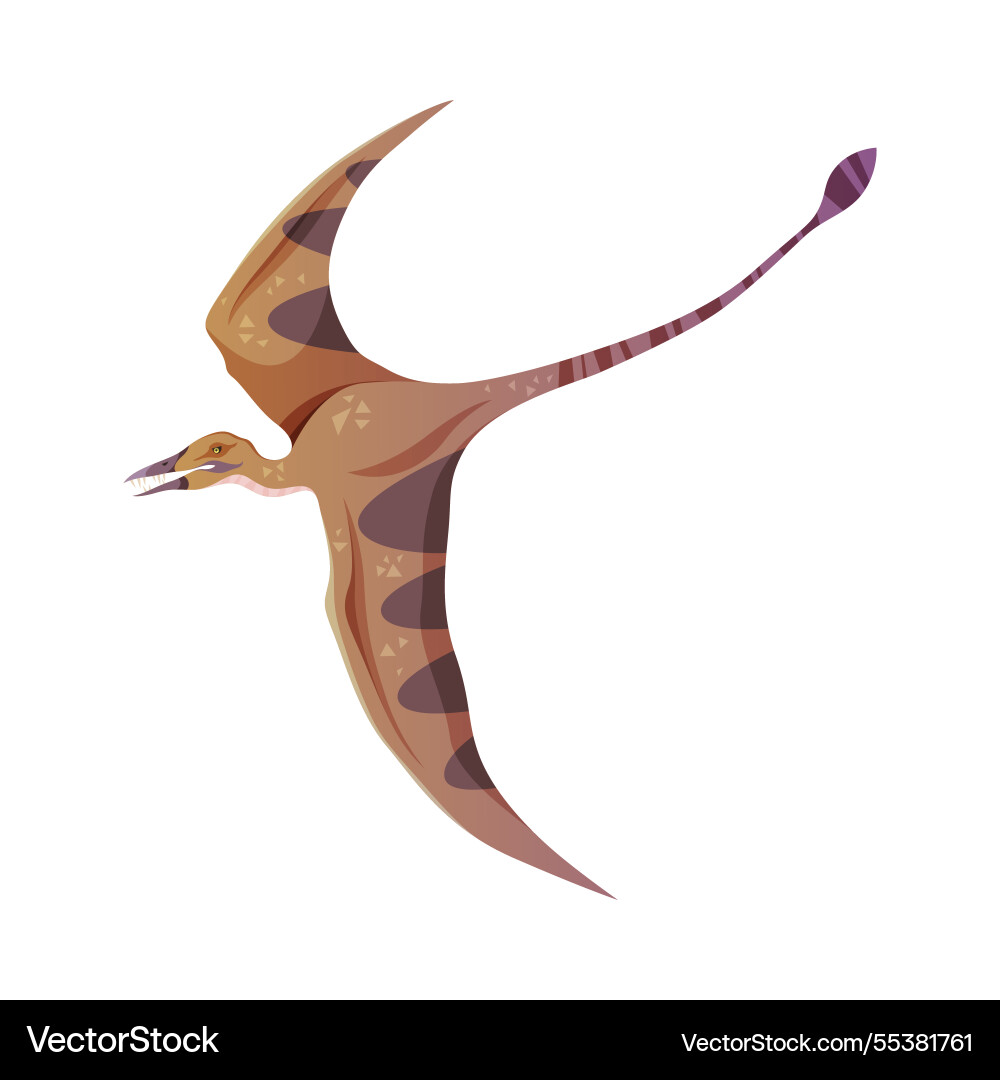 Pterodactyl or pterosaurs dinosaur species Pterodactyl or pterosaurs dinosaur species vector image