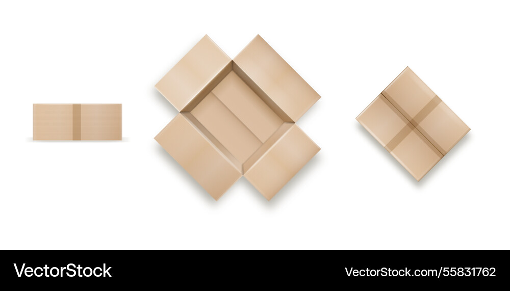Box empty open and closed cardboard Box empty open and closed cardboard Vector Image
