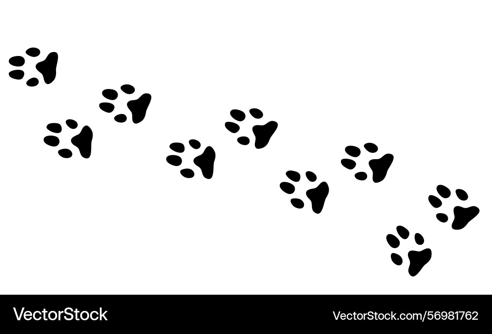 Dog paw print set icon collection on white Vector Image