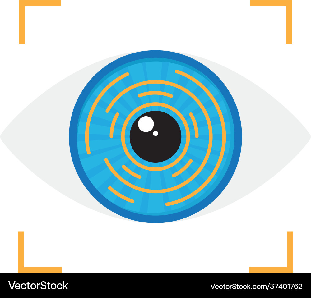 Eye iris biometric verification – Lizenzfreie Vektorgrafik | VectorStock