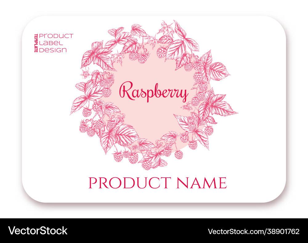 Raspberry ripe berries on branch template Raspberry ripe berries on branch template vector image